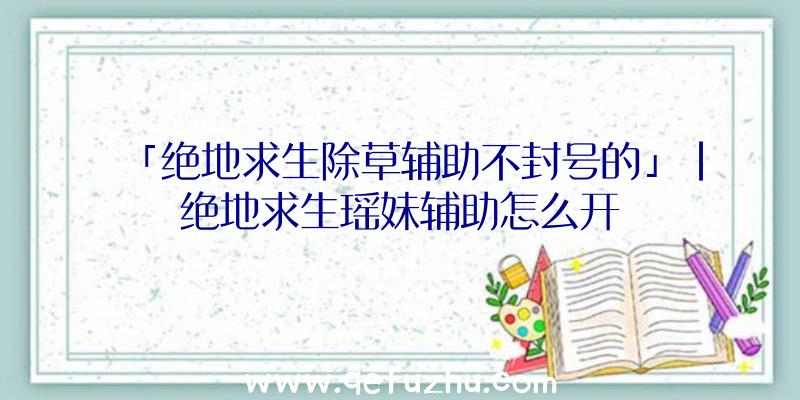 「绝地求生除草辅助不封号的」|绝地求生瑶妹辅助怎么开